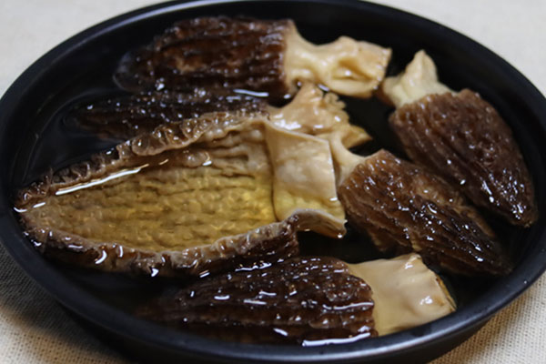 泡發(fā)羊肚菌的水能直接燒湯嗎 泡發(fā)羊肚菌的水能直接燒湯嗎