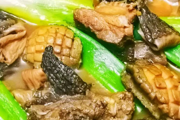 有兩種人不能食用羊肚菌 有兩種人不能食用羊肚菌