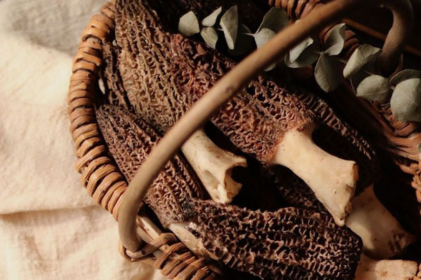 肝臟不好可以吃羊肚菌嗎 肝臟不好可以吃羊肚菌嗎