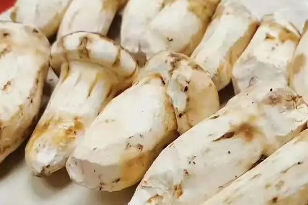 松茸的營(yíng)養(yǎng)價(jià)值有多高，骨湯和松茸菌湯哪個(gè)營(yíng)養(yǎng)高