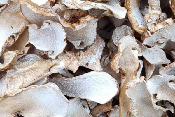 干松茸時間長了還可以吃嗎 干松茸時間長了還可以吃嗎