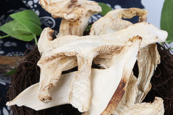 泡了8小時(shí)的干松茸能吃嗎 泡了8小時(shí)的干松茸能吃嗎