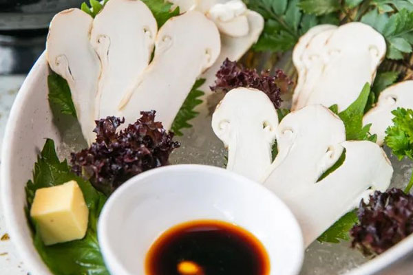 松茸性溫還是性寒，松茸是補品嗎