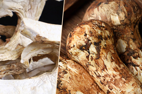 松茸抗輻射嗎，松茸為什么不能水洗