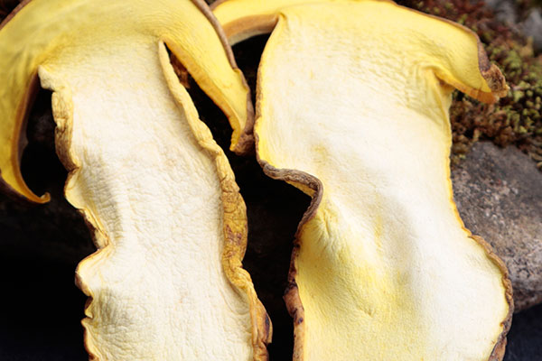 干牛肝菌臘腸燜飯的營養(yǎng)價值 干牛肝菌臘腸燜飯的營養(yǎng)價值