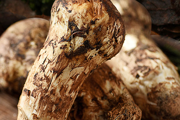 松茸雞胸肉蒸蛋羹的功效作用