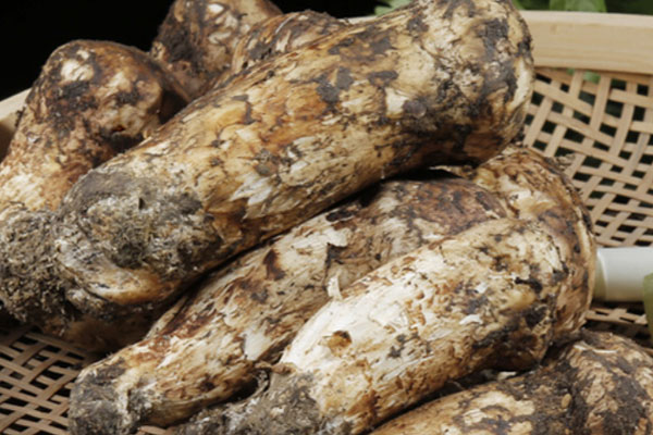 松茸雞胸肉蒸蛋羹的食用禁忌