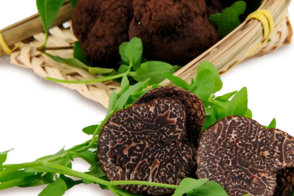 黑松露吐司披薩的營養(yǎng)價值 黑松露吐司披薩的營養(yǎng)價值