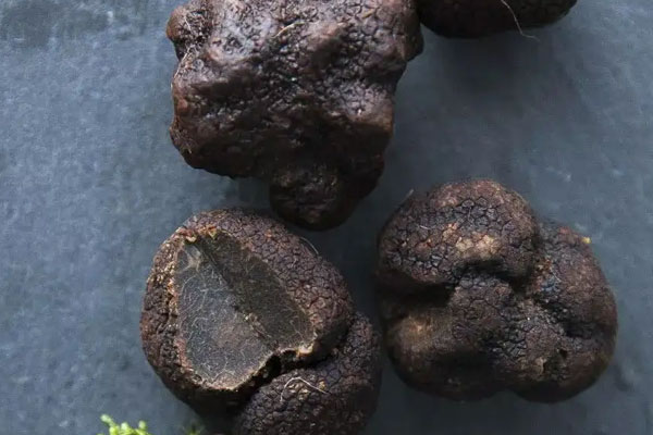 黑松露吐司披薩的食用禁忌 黑松露吐司披薩的食用禁忌