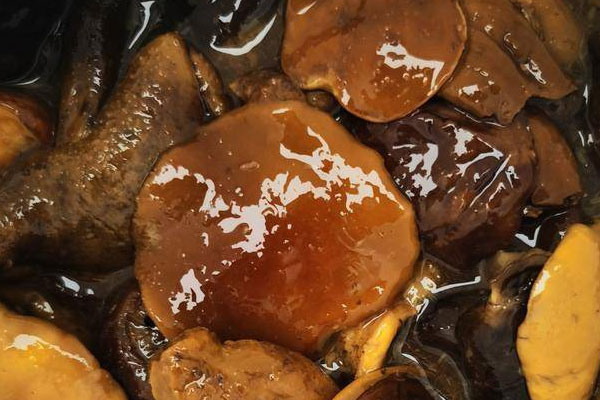 紅乳牛肝菌的熱量高嗎，紅乳牛肝菌湯有點微苦