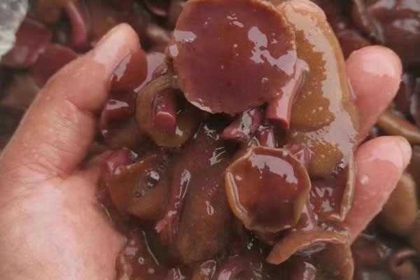 紅乳牛肝菌湯吃起來微苦 紅乳牛肝菌湯吃起來微苦