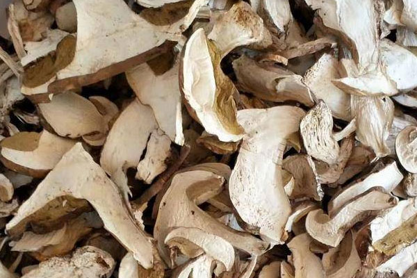 干牛肝菌是不是沒有營養(yǎng) 干牛肝菌是不是沒有營養(yǎng)