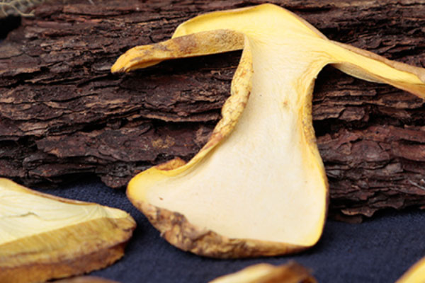 浸泡過干牛肝菌的水要嗎 浸泡過干牛肝菌的水要嗎