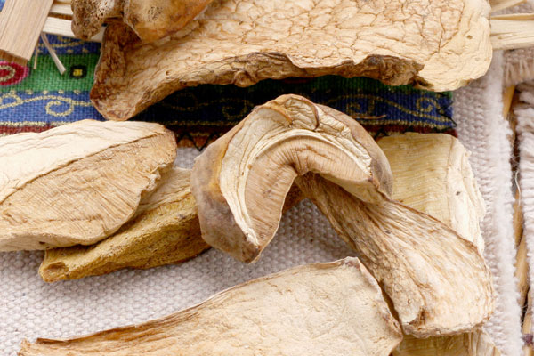 干牛肝菌有蟲子正常嗎，紅乳牛肝菌有蟲能吃嗎