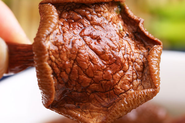 紅乳牛肝菌有蟲可以吃嗎 紅乳牛肝菌有蟲可以吃嗎