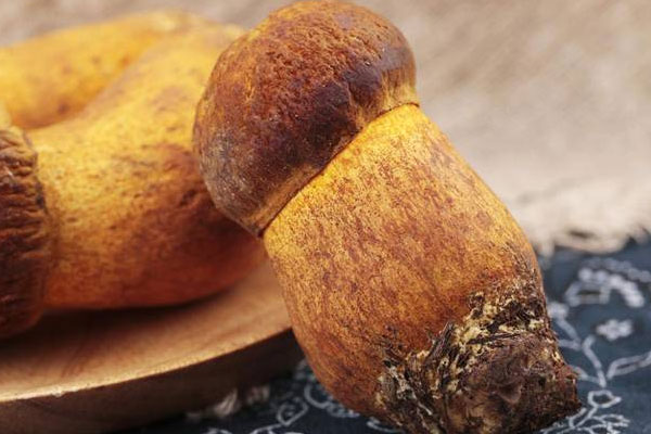 牛肝菌吃多少會(huì)中毒，生吃牛肝菌的后果