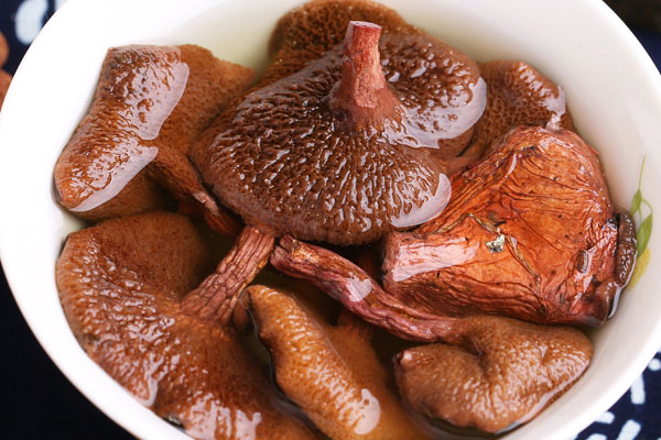 牛肝菌吃多了有沒有副作用 牛肝菌吃多了有沒有副作用