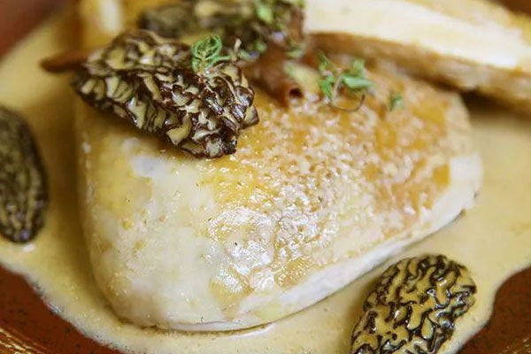 羊肚菌算農(nóng)作物嗎，羊肚菌是野生的還是種植的