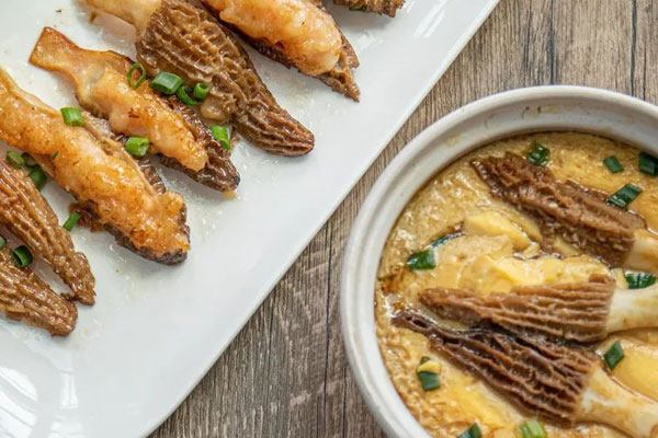 咳嗽期間能吃羊肚菌嗎，陰虛可以吃羊肚菌嗎