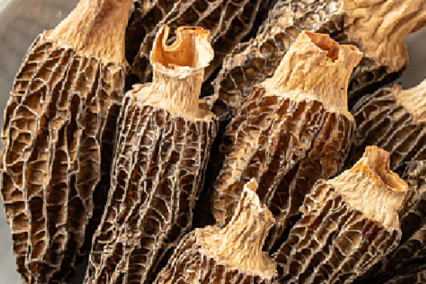 羊肚菌被蟲蛀了還能吃嗎，慢性胃炎可以吃羊肚菌嗎