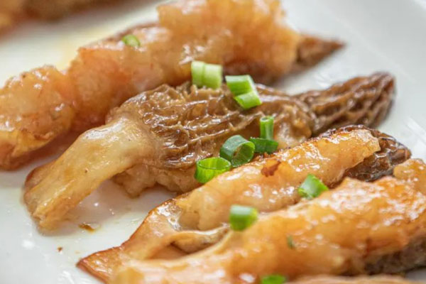 羊肚菌的營養(yǎng)是其他食材的多少倍 羊肚菌的營養(yǎng)是其他食材的多少倍