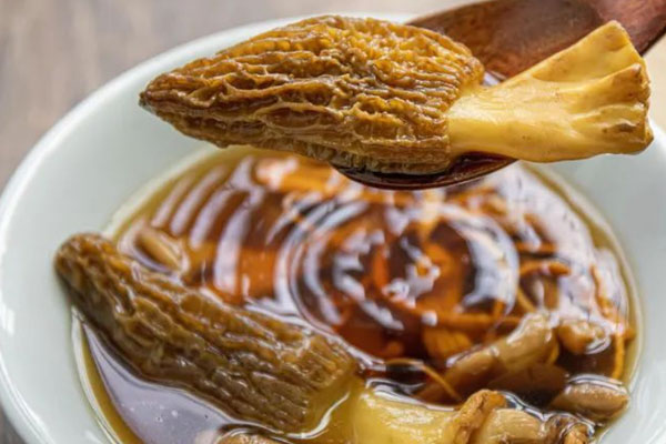 羊肚菌像金錢肚嗎 羊肚菌像金錢肚嗎