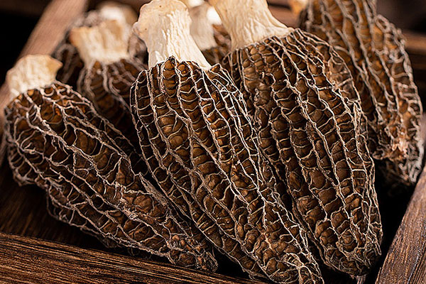 羊肚菌猴頭菇燉豬腱的食用禁忌 羊肚菌猴頭菇燉豬腱的食用禁忌