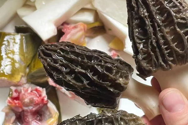 羊肚菌黃骨魚(yú)湯的功效作用 羊肚菌黃骨魚(yú)湯的功效作用