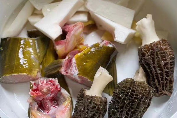 羊肚菌黃骨魚(yú)湯的食用禁忌 羊肚菌黃骨魚(yú)湯的食用禁忌