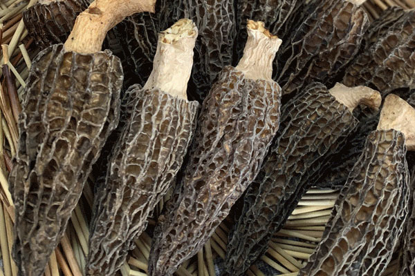 羊肚菌魷魚排骨湯的功效作用 羊肚菌魷魚排骨湯的功效作用