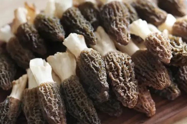 羊肚菌炒雙杞的功效作用 羊肚菌炒雙杞的功效作用