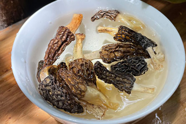 羊肚菌番茄燉牛腩的食用禁忌 羊肚菌番茄燉牛腩的食用禁忌