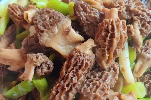 腎病綜合征能吃羊肚菌嗎，肝功能不好可以吃羊肚菌嗎