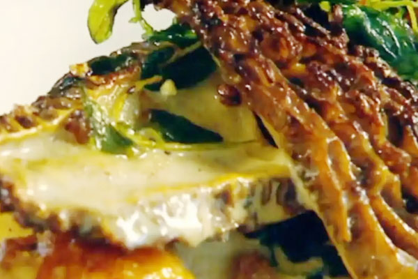 新鮮羊肚菌的口感獨(dú)特嗎 新鮮羊肚菌的口感獨(dú)特嗎