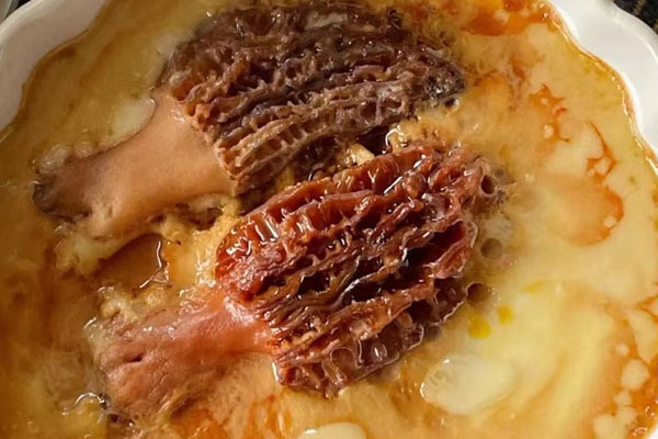 尿道結石能吃羊肚菌嗎 尿道結石能吃羊肚菌嗎