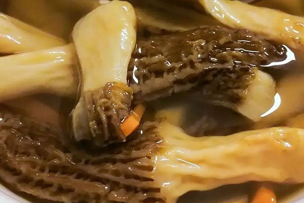 喝隔夜羊肚菌湯好嗎 喝隔夜羊肚菌湯好嗎