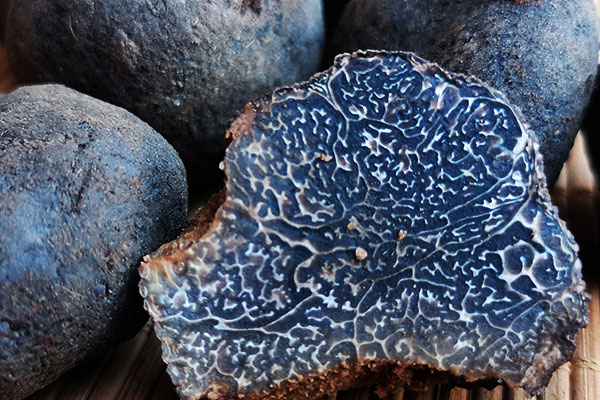 中國(guó)出口松露多嗎 中國(guó)出口松露多嗎