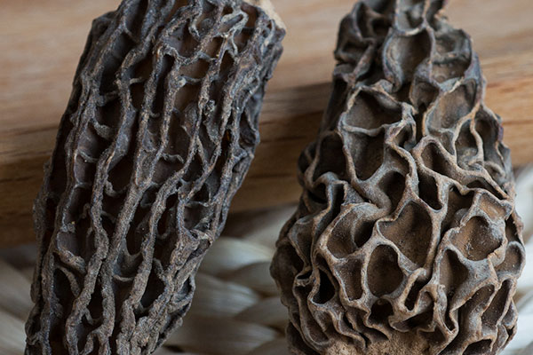 羊肚菌香菇冬瓜湯的營養(yǎng)價值 羊肚菌香菇冬瓜湯的營養(yǎng)價值