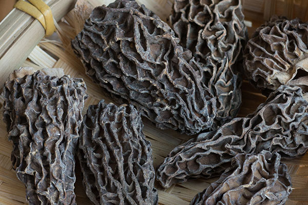 羊肚菌香菇冬瓜湯的食用禁忌 羊肚菌香菇冬瓜湯的食用禁忌