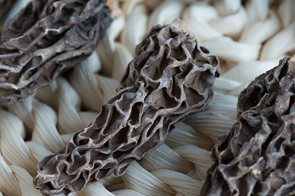 羊肚菌蜜棗乳鴿湯的食用禁忌 羊肚菌蜜棗乳鴿湯的食用禁忌