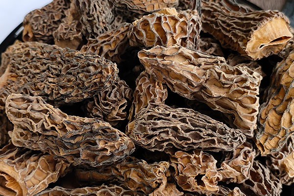 羊肚菌椰子原盅燉雞的功效作用 羊肚菌椰子原盅燉雞的功效作用