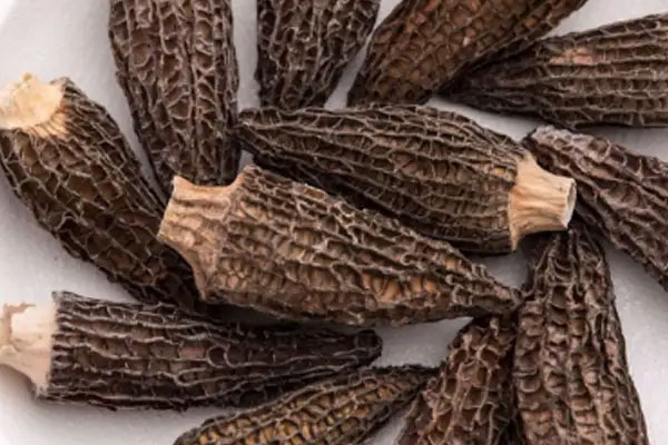 羊肚菌花生豬骨湯的食用禁忌 羊肚菌花生豬骨湯的食用禁忌