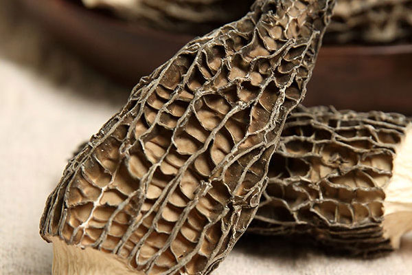 羊肚菌遼參鵪鶉湯的功效作用 羊肚菌遼參鵪鶉湯的功效作用