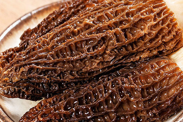 羊肚菌遼參鵪鶉湯的食用禁忌 羊肚菌遼參鵪鶉湯的食用禁忌