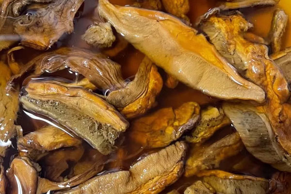 一年前凍的牛肝菌還能吃嗎，干牛肝菌怎么洗才沒沙