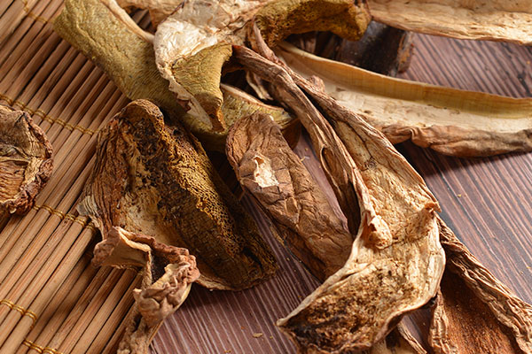 干牛肝菌泡出來有很多蟲，紅乳牛肝菌有蟲正常嗎