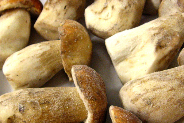 炒牛肝菌可以放味極鮮嗎 炒牛肝菌可以放味極鮮嗎