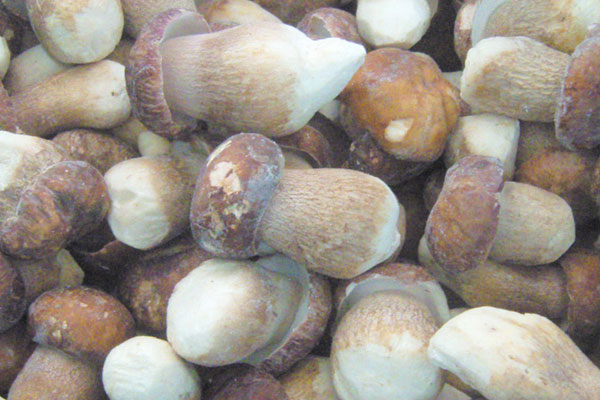 新鮮牛肝菌生凍好還是熟凍好 新鮮牛肝菌生凍好還是熟凍好