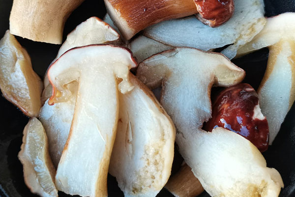 云南出產(chǎn)牛肝菌的地方多嗎 云南出產(chǎn)牛肝菌的地方多嗎