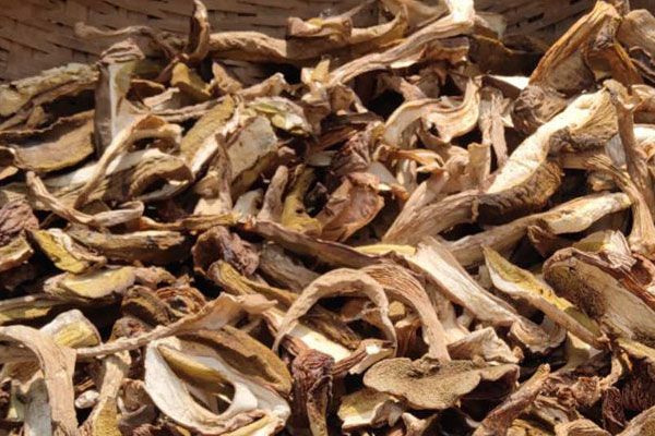 過期的干品牛肝菌可以食用嗎 過期的干品牛肝菌可以食用嗎